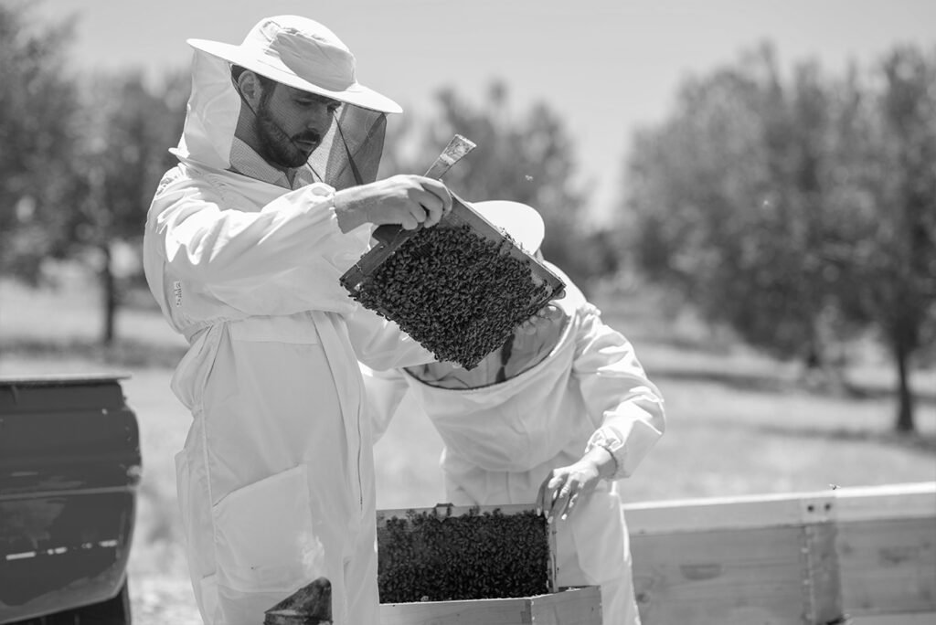 2 membres de la famille des apiculteurs grecs Bairaktaris en train de traiter les ruches